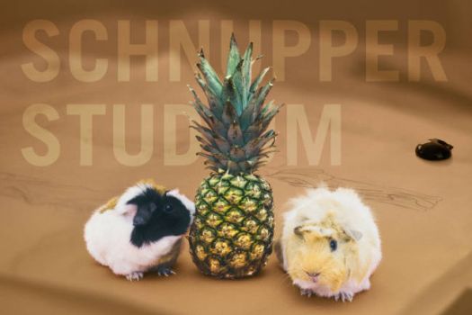 Schnupperstudium an der Leipzig School of Design